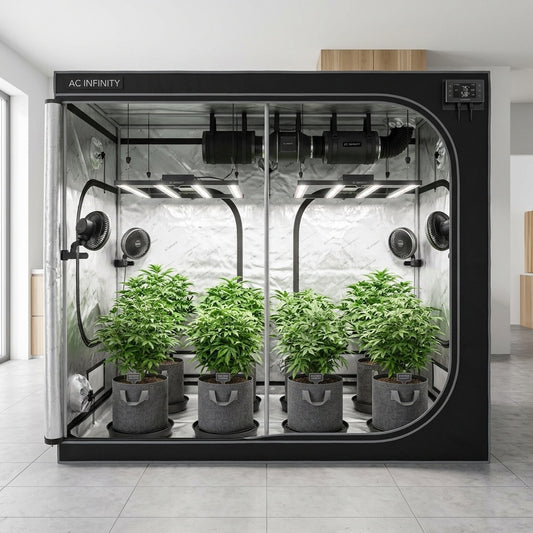 Grow Tent Gear Board, Equipment and Cable Wall Organizer – HomeGrow Blueprint