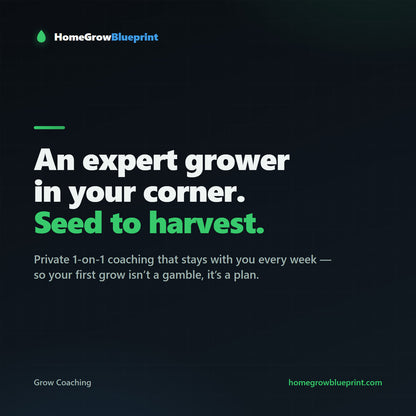 Grow Coaching