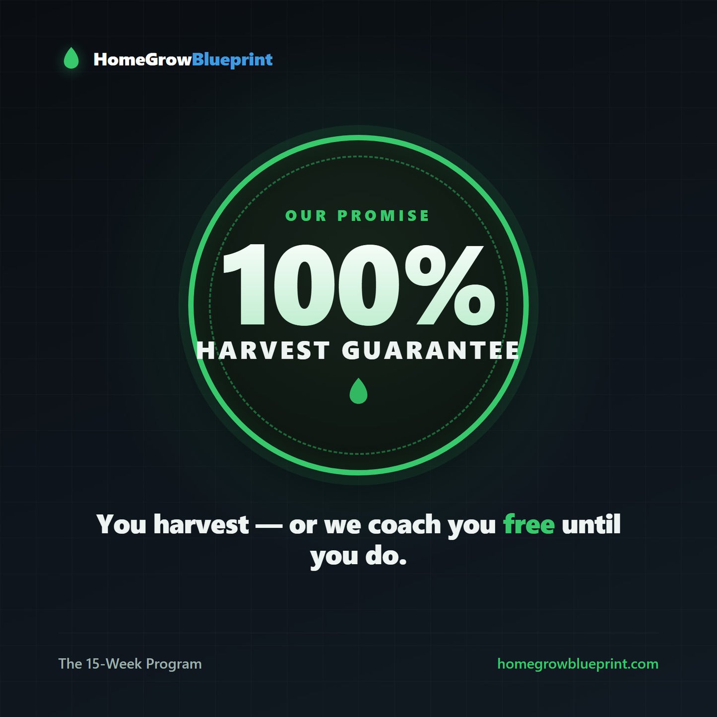 Grow Coaching