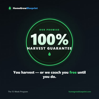 Grow Coaching